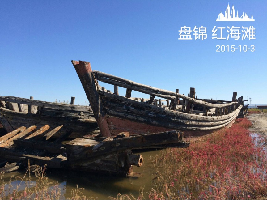 三国全能的枸杞