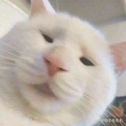 小姐有没有半岛铁盒