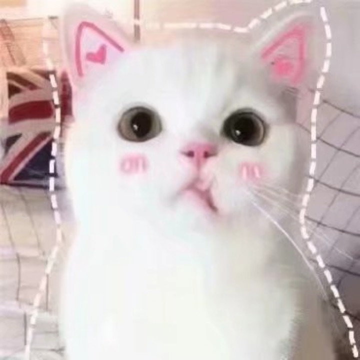 小娃子o(&acute;^｀)o