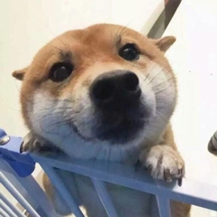 需要小钱钱的我