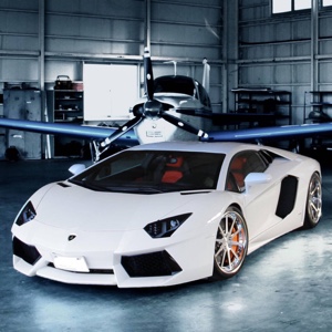 秋天的菠菜11124