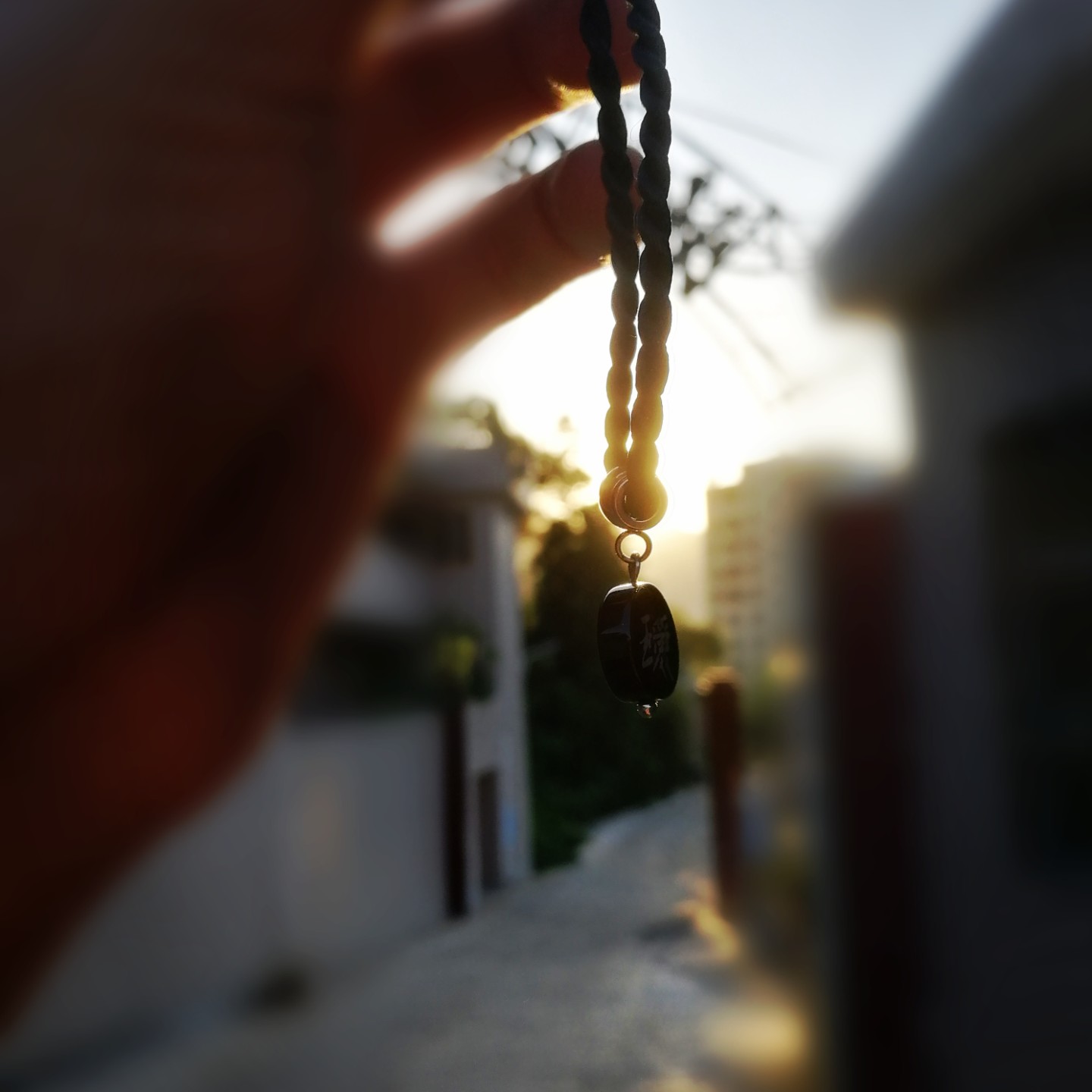 南风知我意与你旧相识