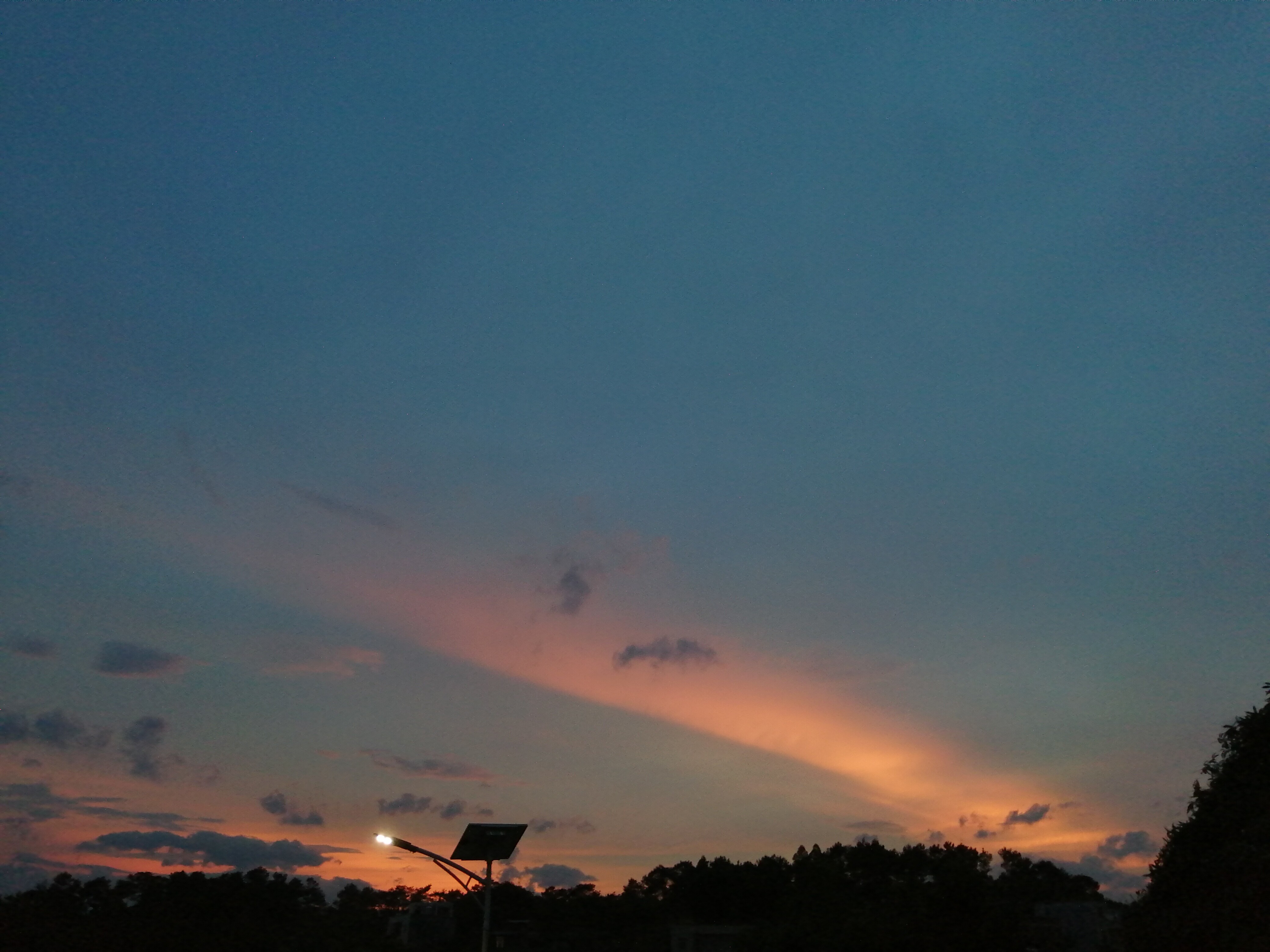 一名中了公路车毒的00后