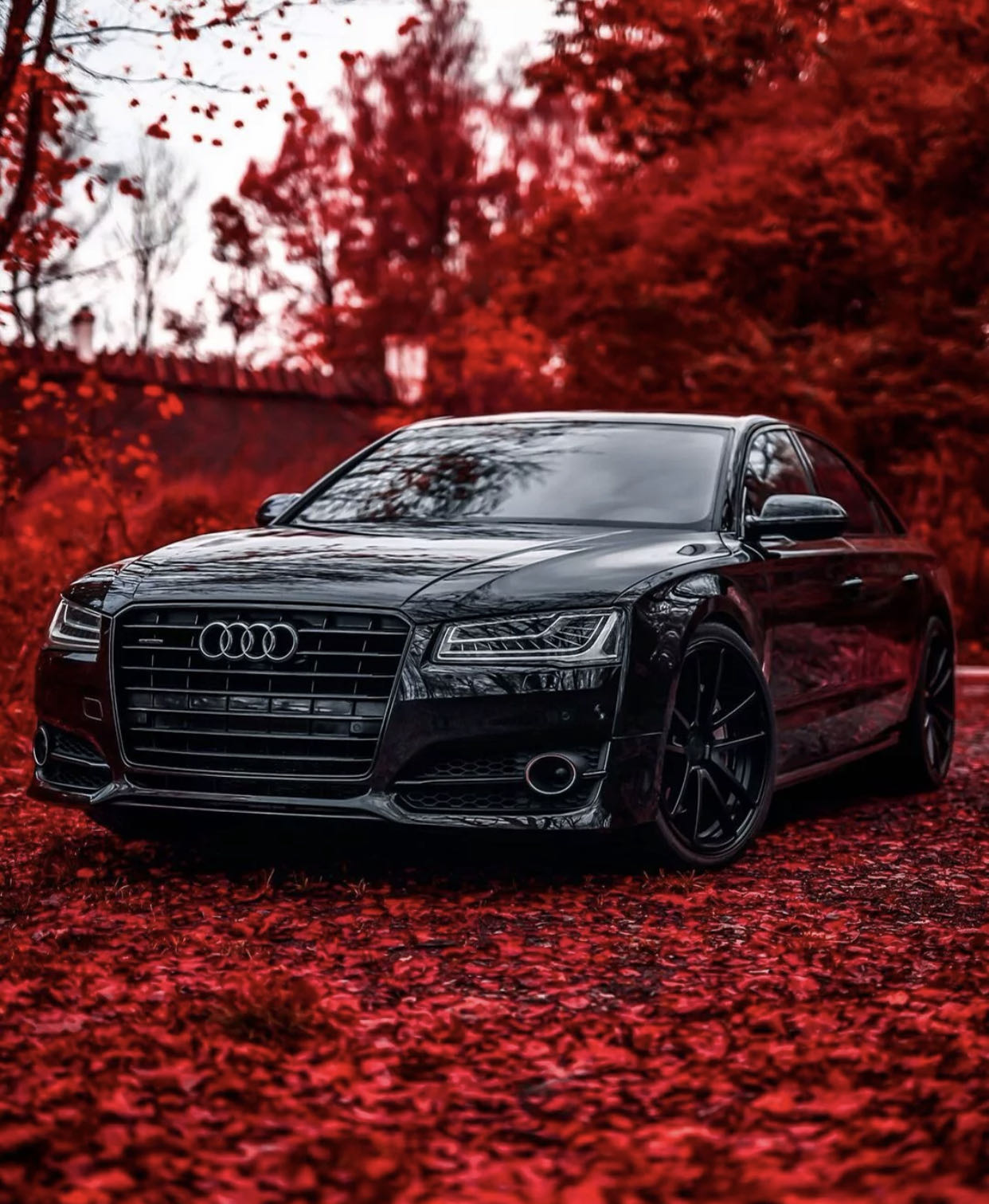 骑破自行车的小傅