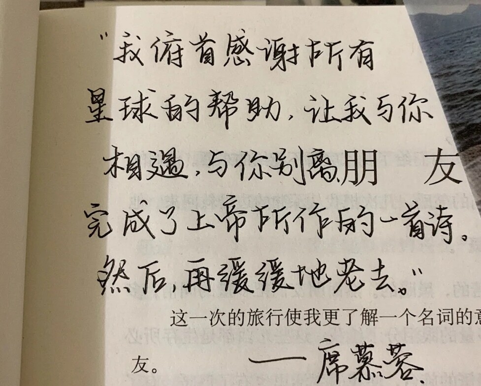 阳光苹果叶子
