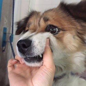 我怎么日渐消瘦了