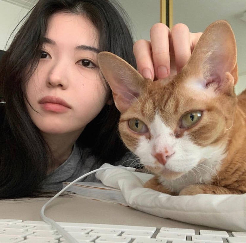 北朝自觉的土豆