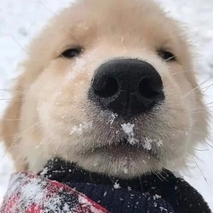 世界自由抖腿锦标赛冠军