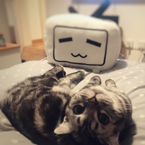 欧菲小姐的购物热情