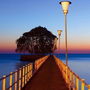 你说三年又三年