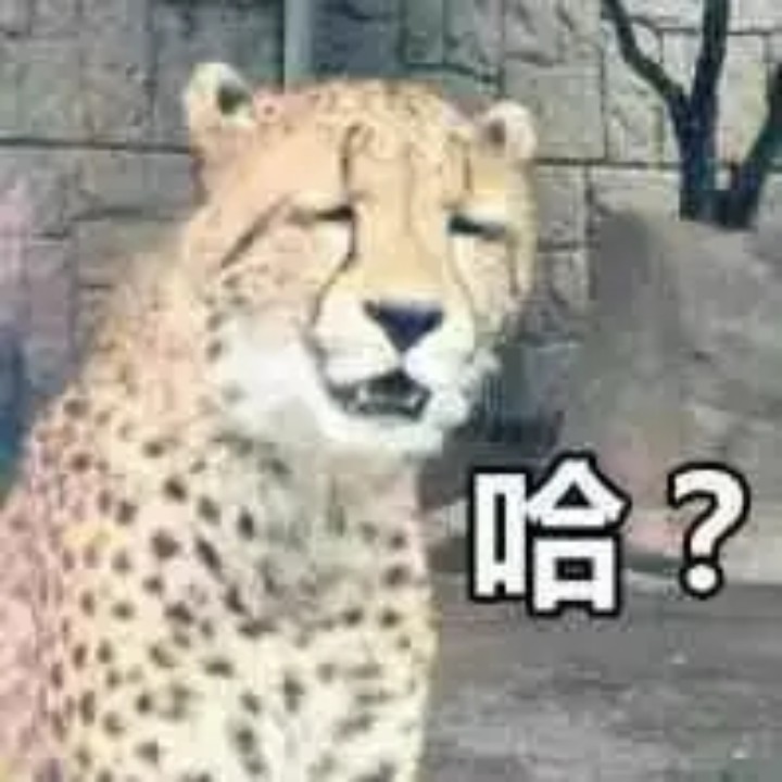 该淘名已被占用