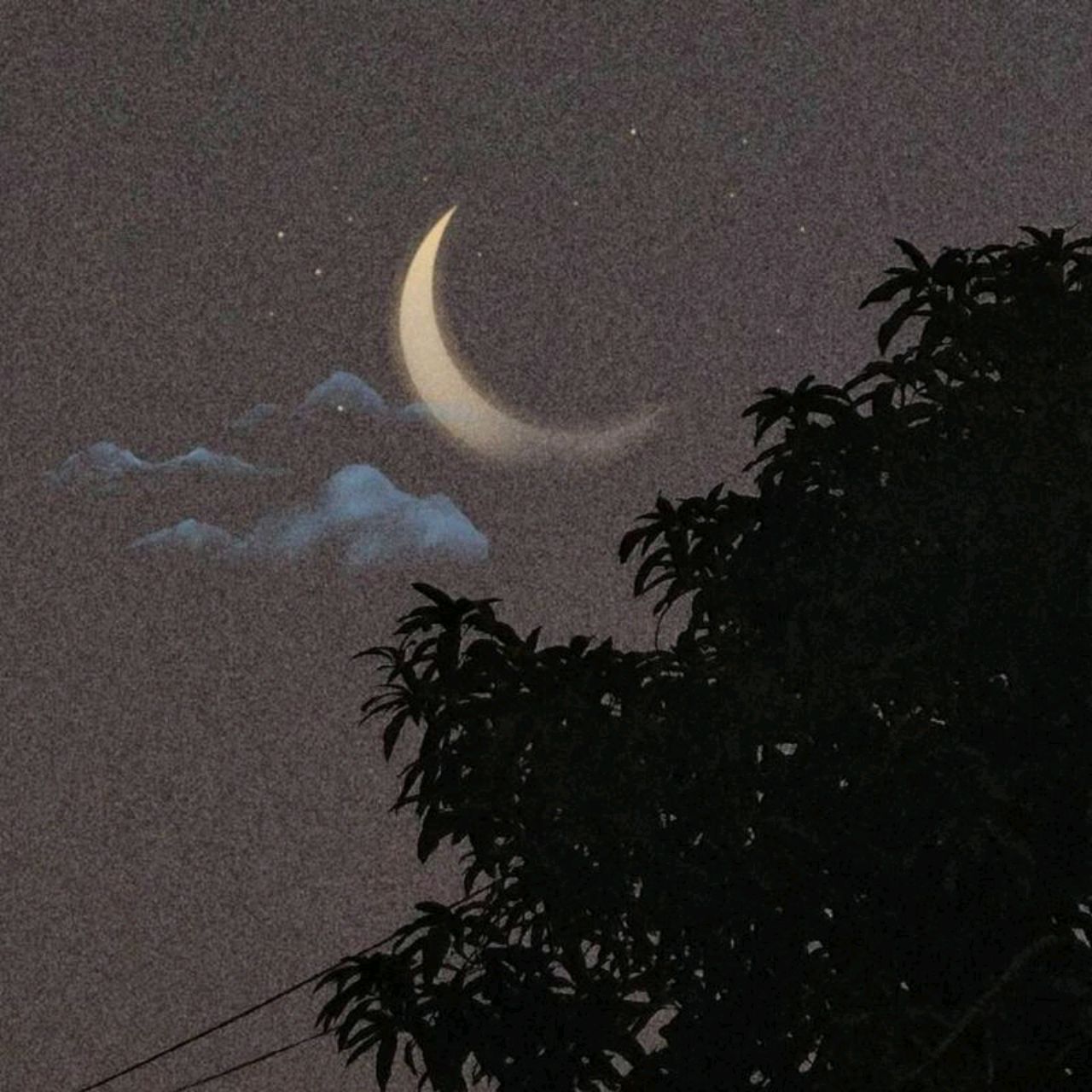 爱吃凉拌三丁的猫弦