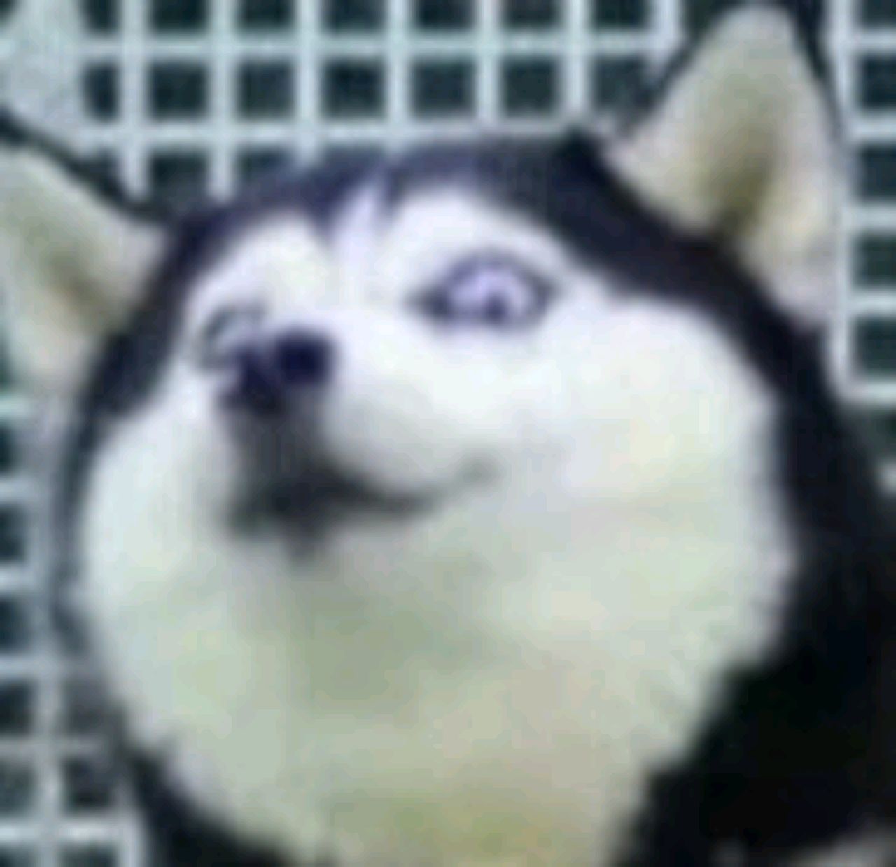 本人真的很有钱