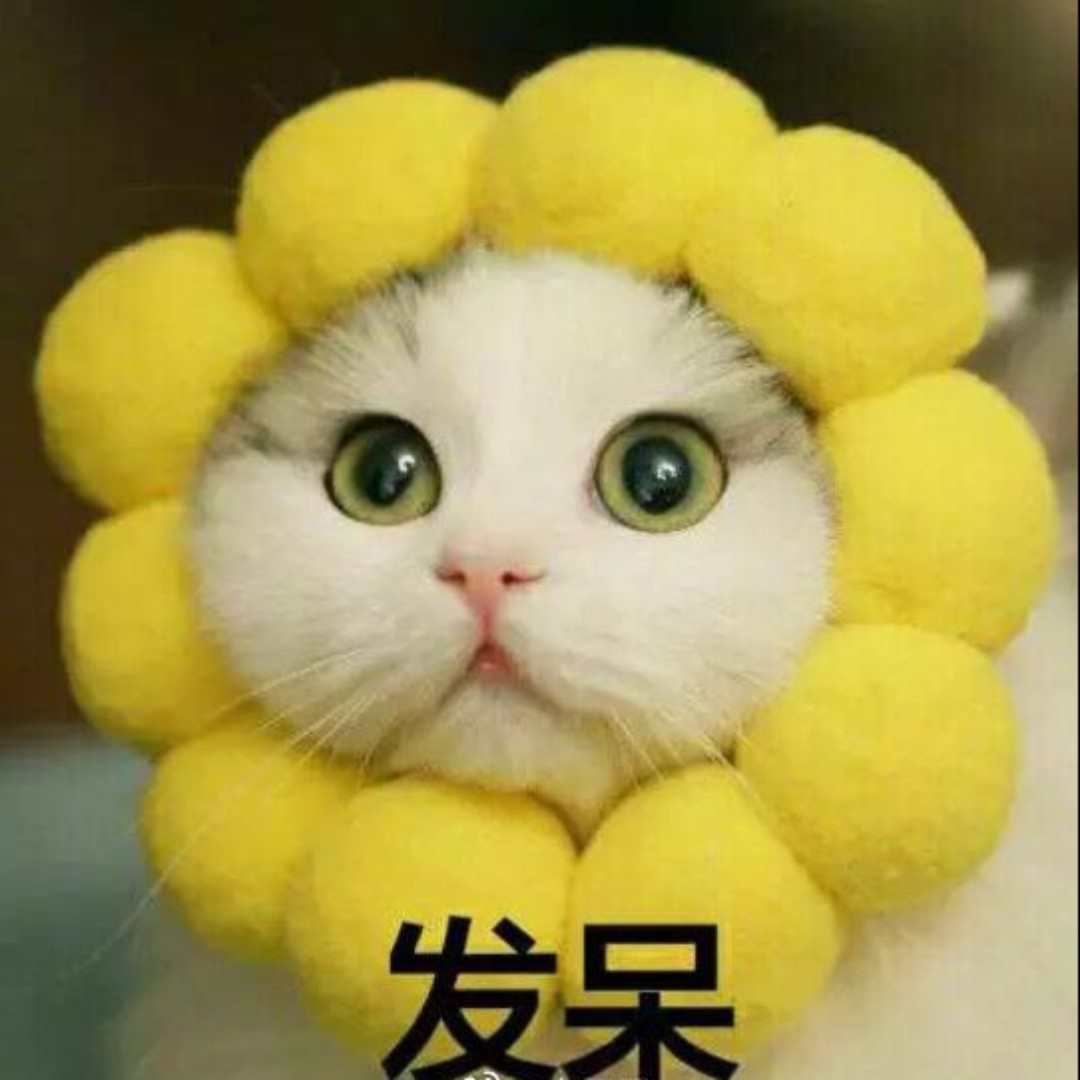 幼儿园园长很稳重