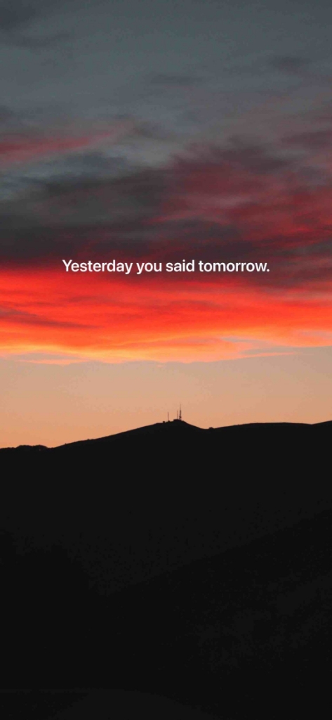 黄面的伴侣烤肉