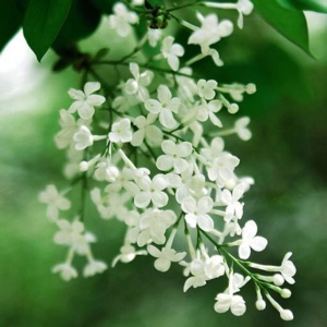 好不好要开心哦