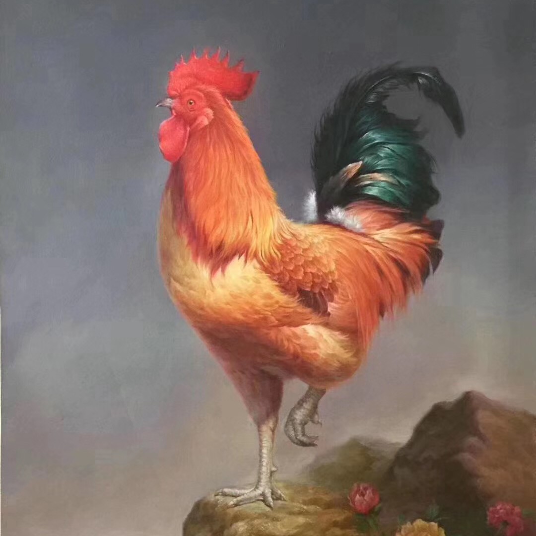 美丽的大花公鸡