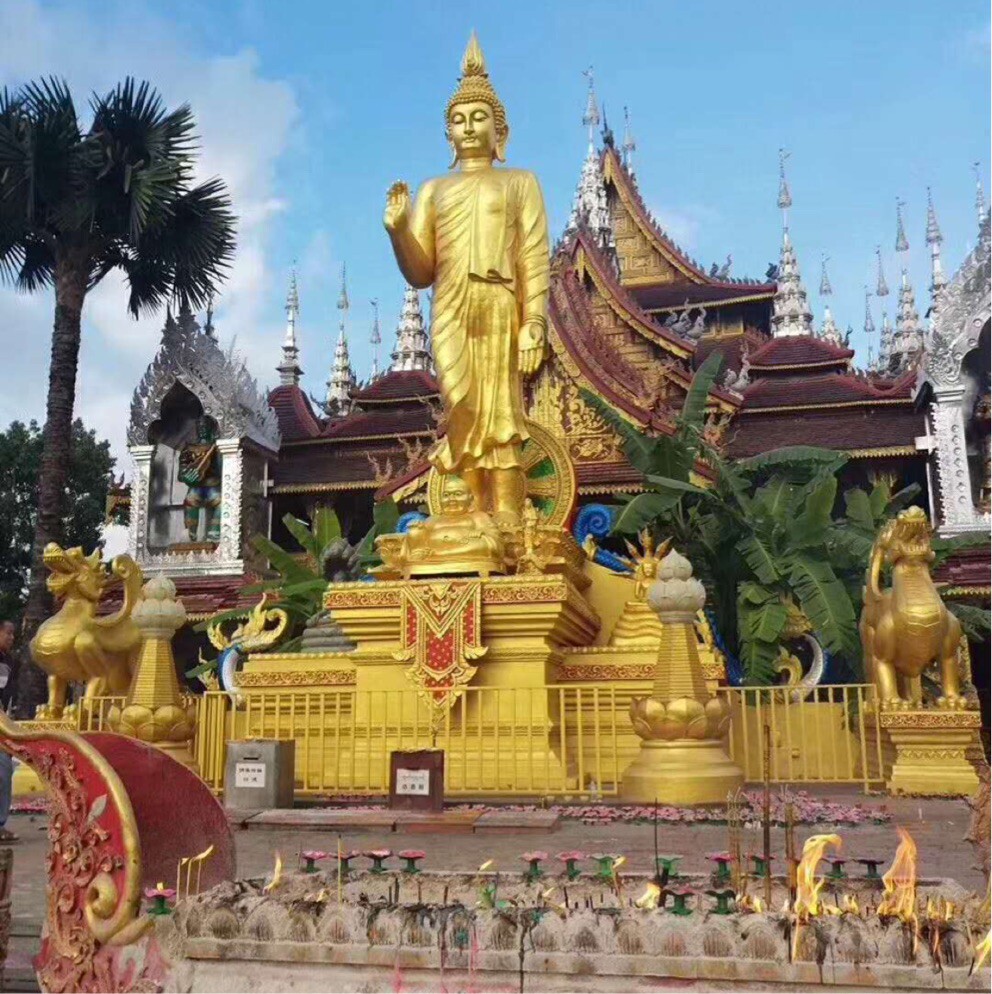 只看不买，奈我何吖