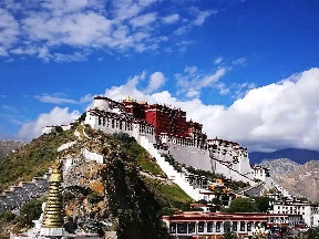 进击的酒窝快快