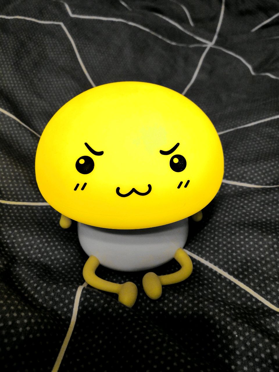 败家的小马同学