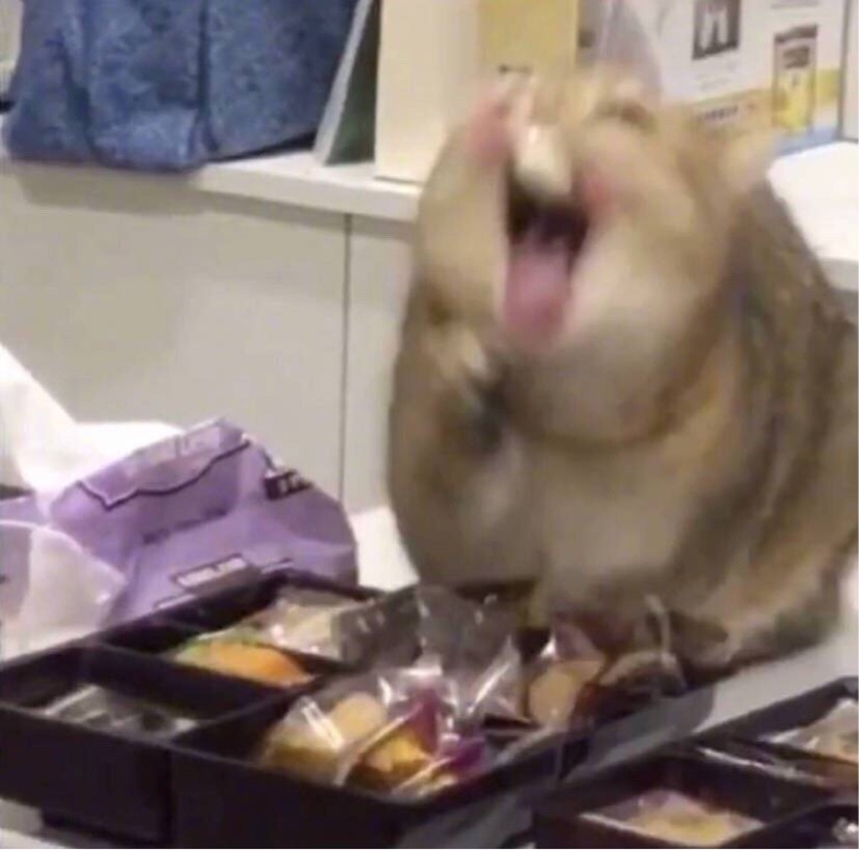 稻草黄的草莜一号