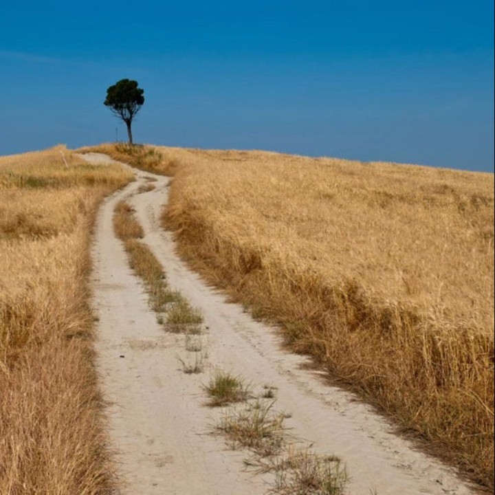 来了飞升个高峰在观望