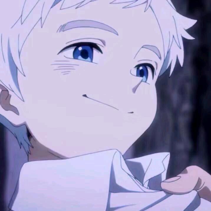 爱吃桑椹果酱的种草君