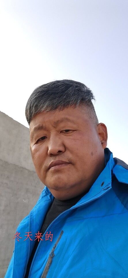 新疆伊犁--牛大爷