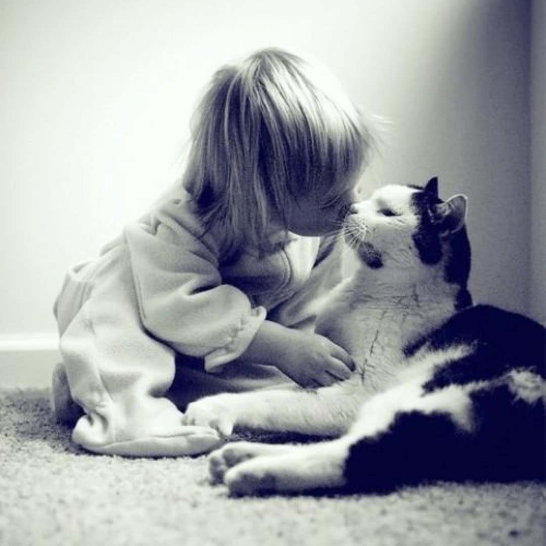 执手何须问年华`