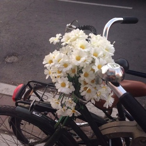 太阳妹妹的旺仔牛奶