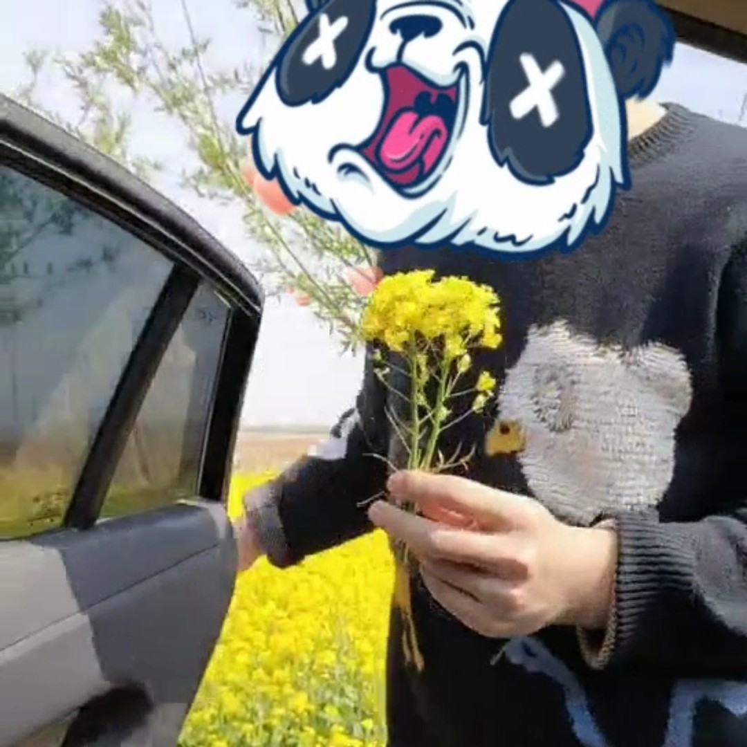 我是帅帅的小跟班