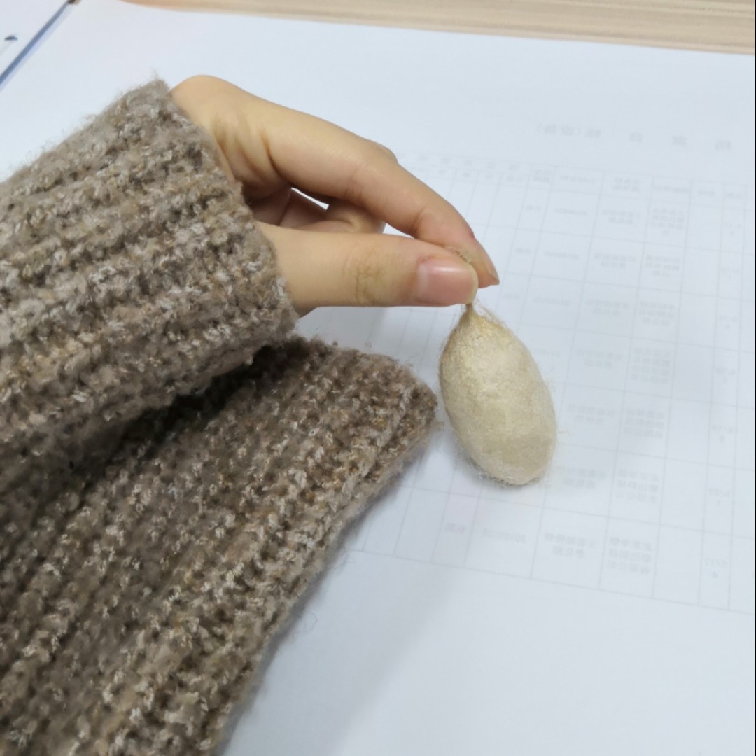 头上有犄角的白熊