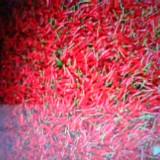 酉阳县浩懿农业