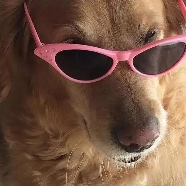 爱吃混搭炒饭的汤圆