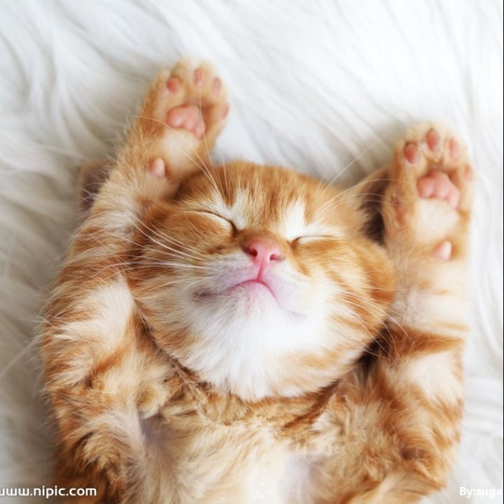 虔诚的古拉尧尧