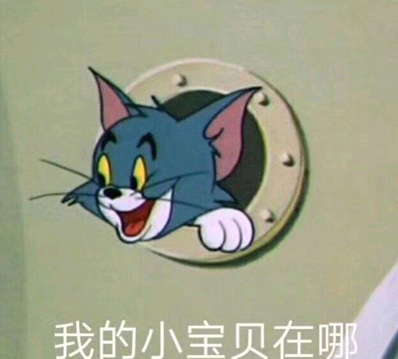 哈利波菜