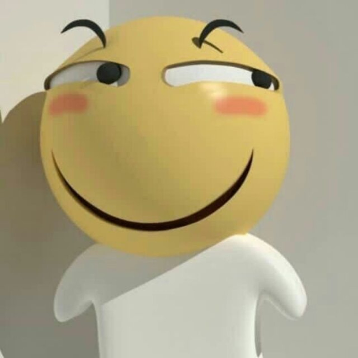 爱吃无水焖鸡的大圆脸