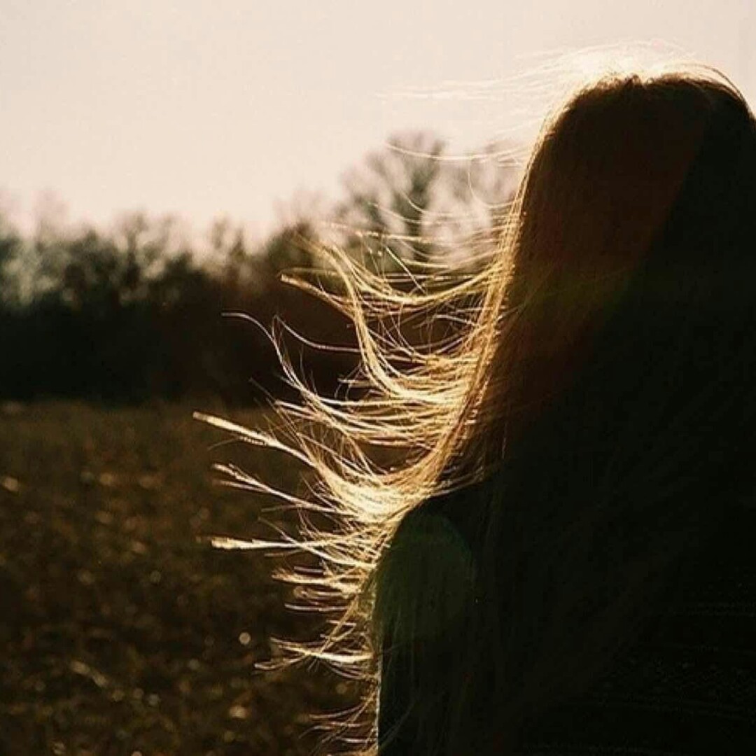 陈杏蓉的一号呆呆