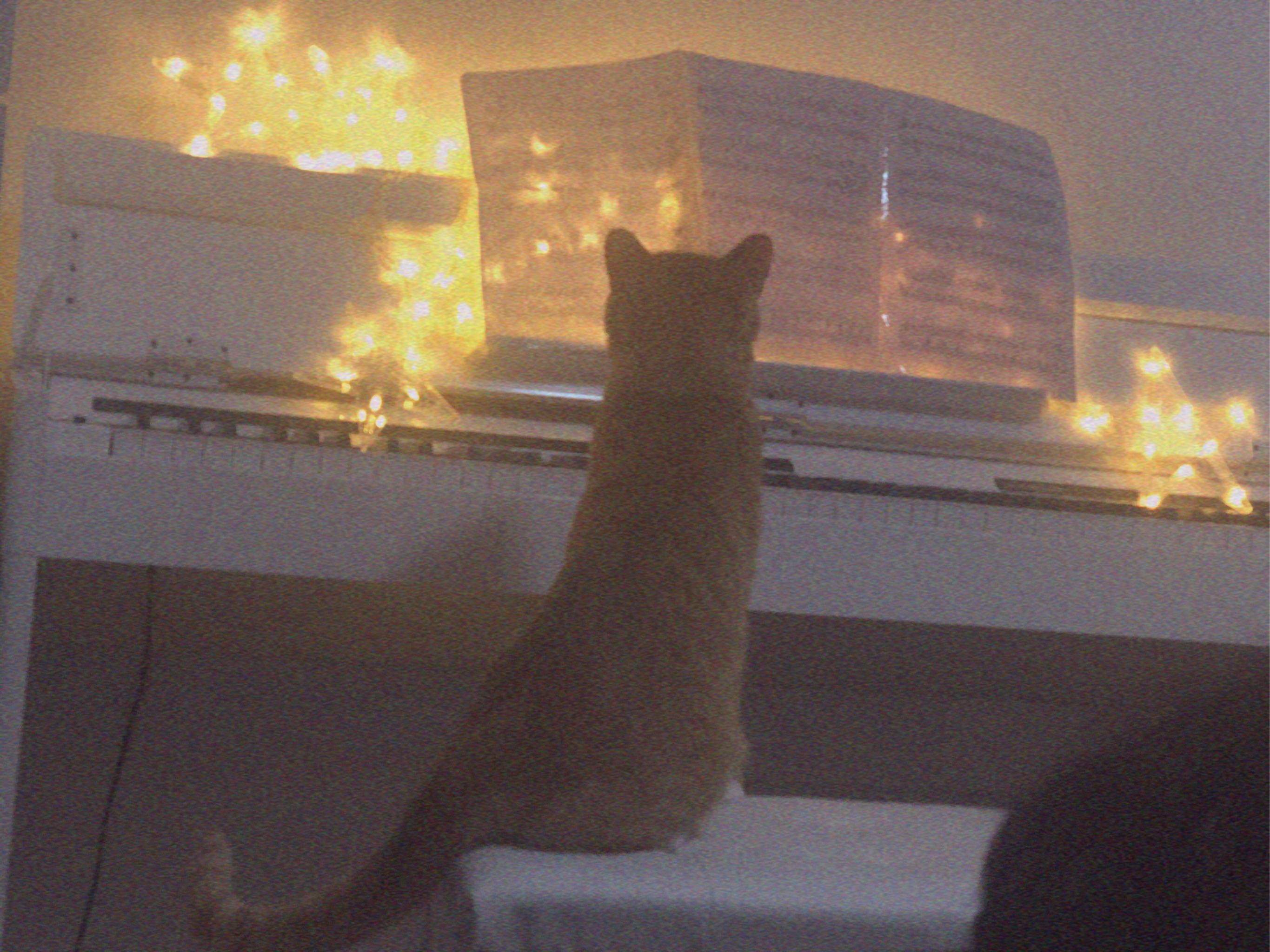 新时代好青年94