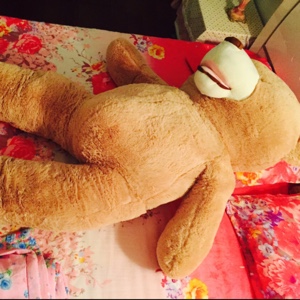 礼貌的阿布小紫