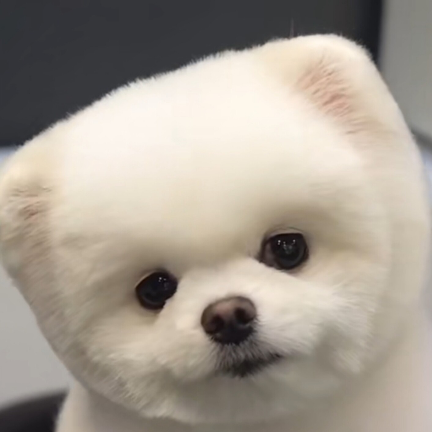 中午想要打个盹