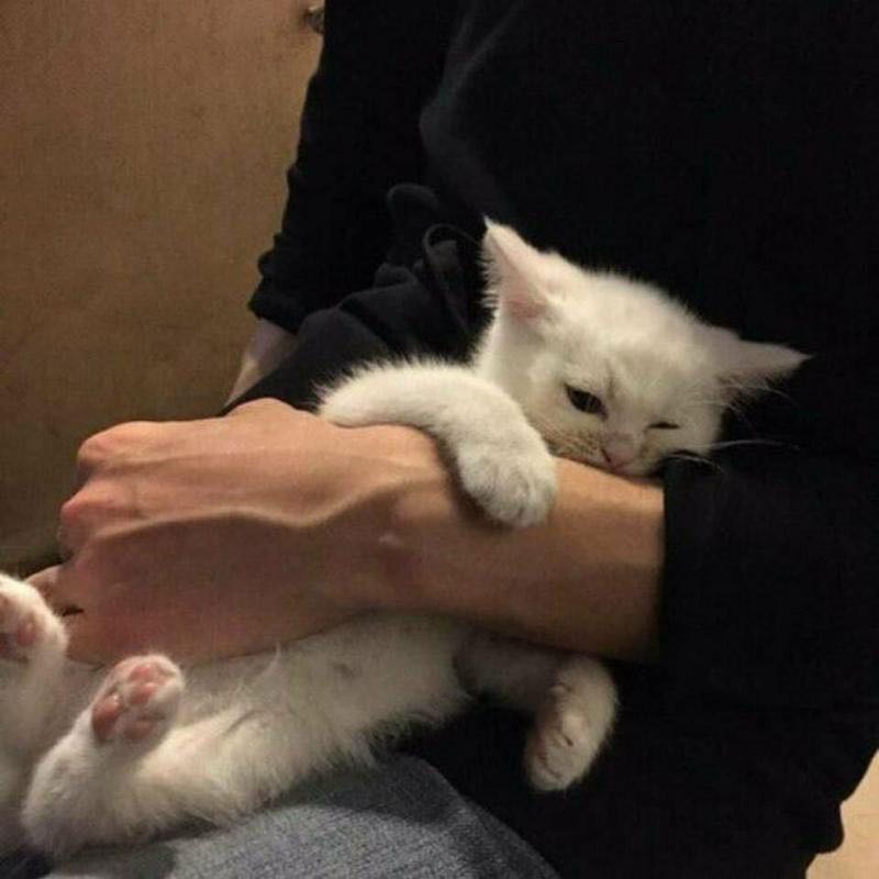 ID有人要宝呗嘛