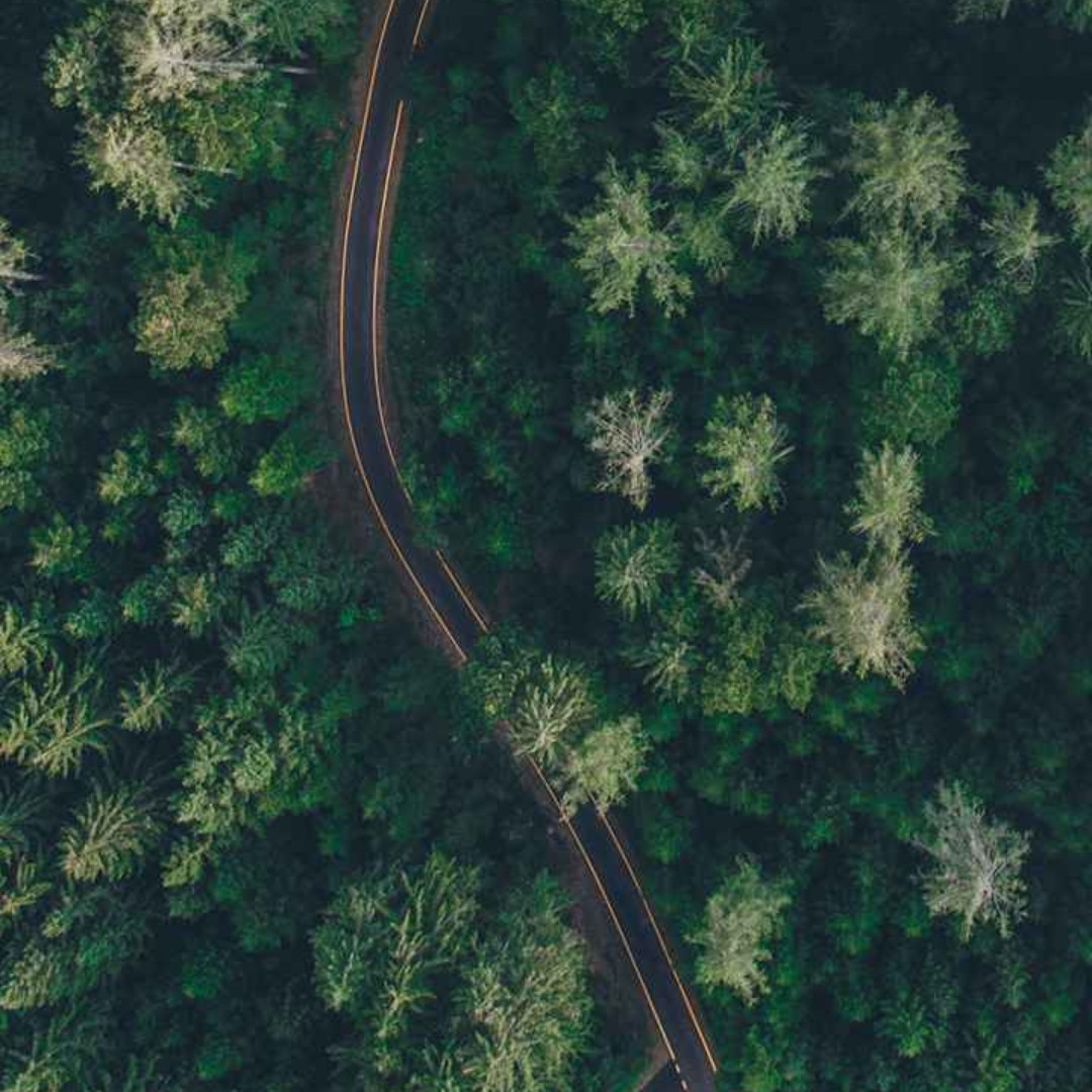 隔壁的老王你大哥