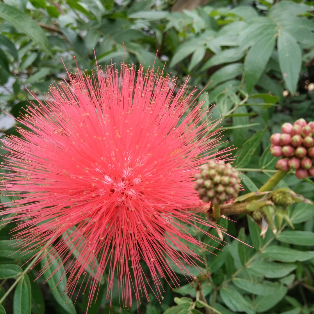 美好明天的时光