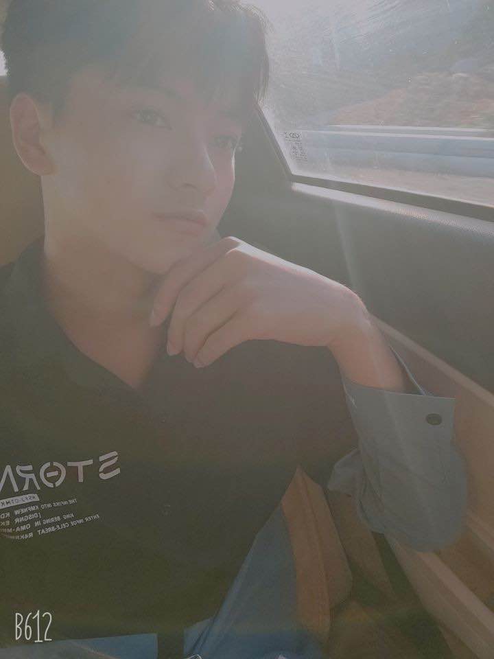 小猪不会迷路的