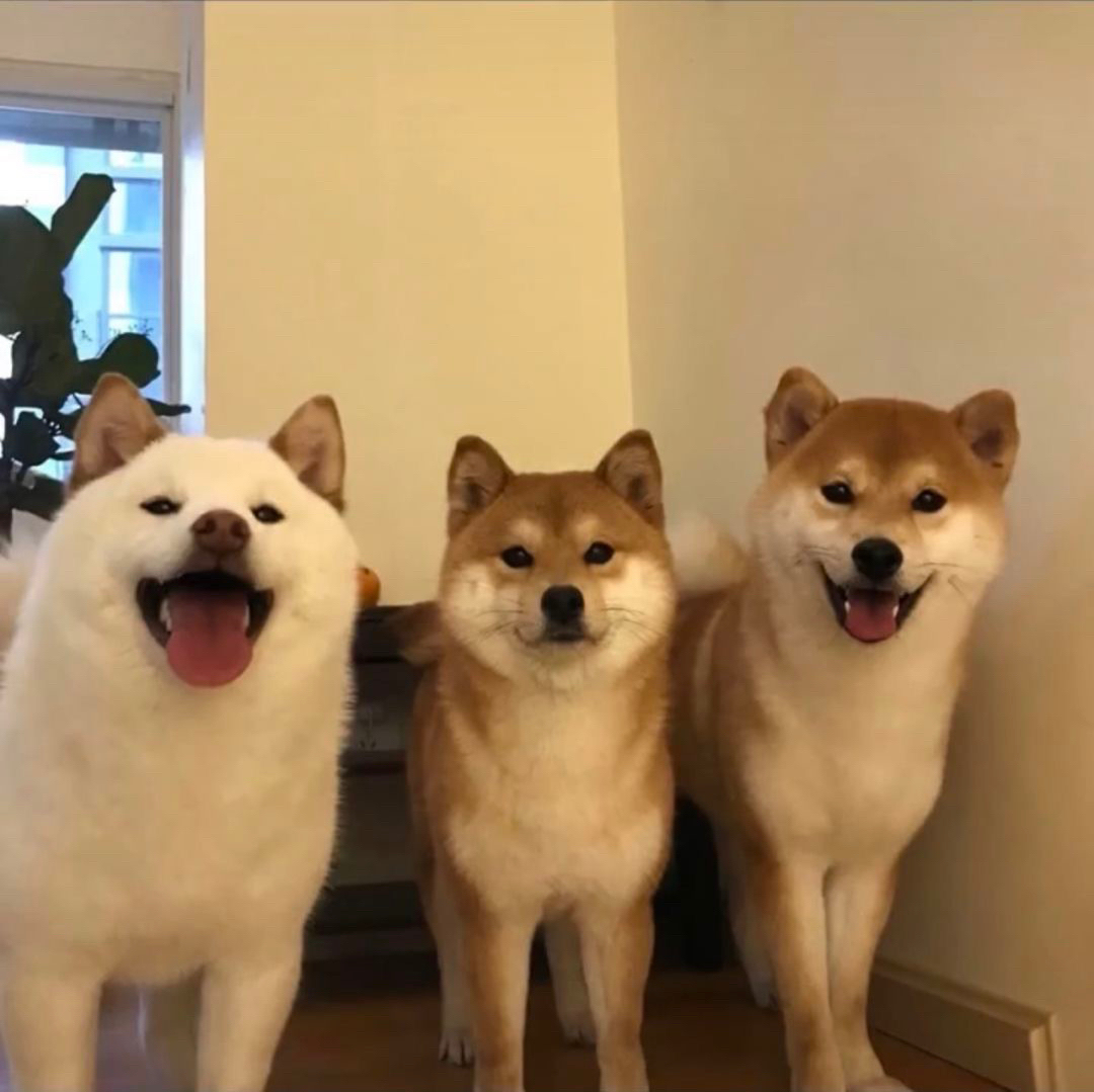 啤酒味的奶瓶盖