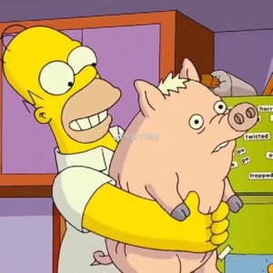 买买买买买买__