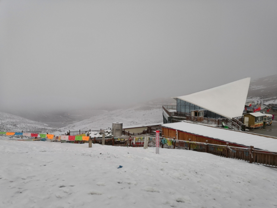 锦帆路甜甜的竹叶