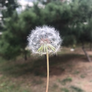 一半是天使(-_^)