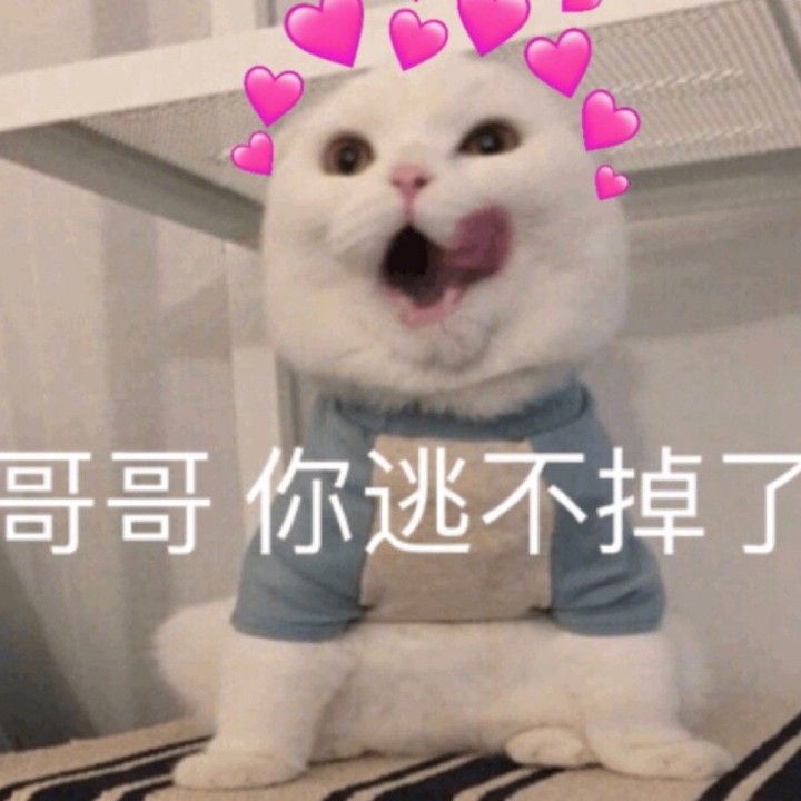 桃桃猫猫星球国王